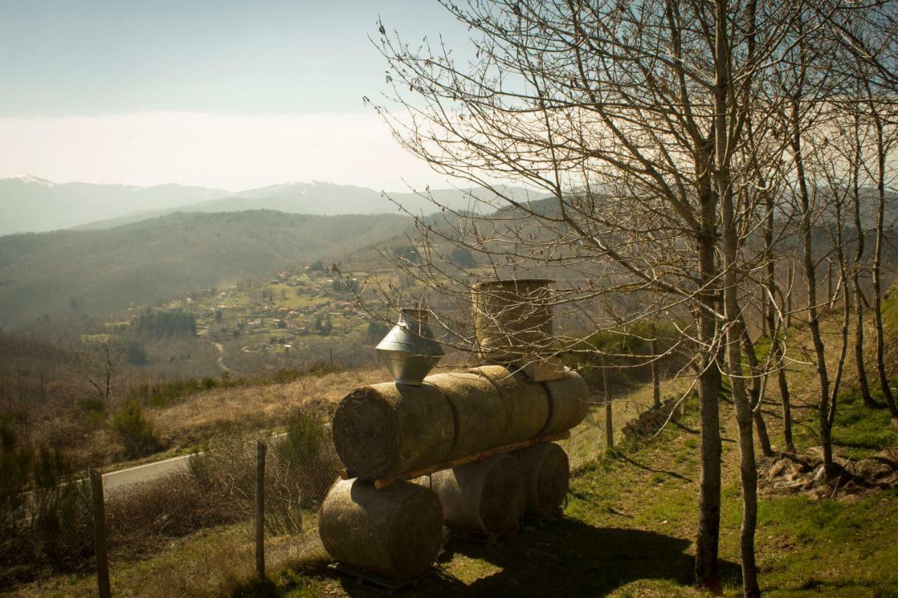 B&B Vista Casentino Pratovecchio Εξωτερικό φωτογραφία