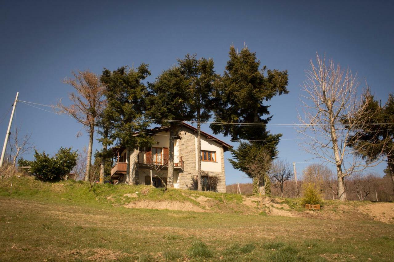 B&B Vista Casentino Pratovecchio Εξωτερικό φωτογραφία