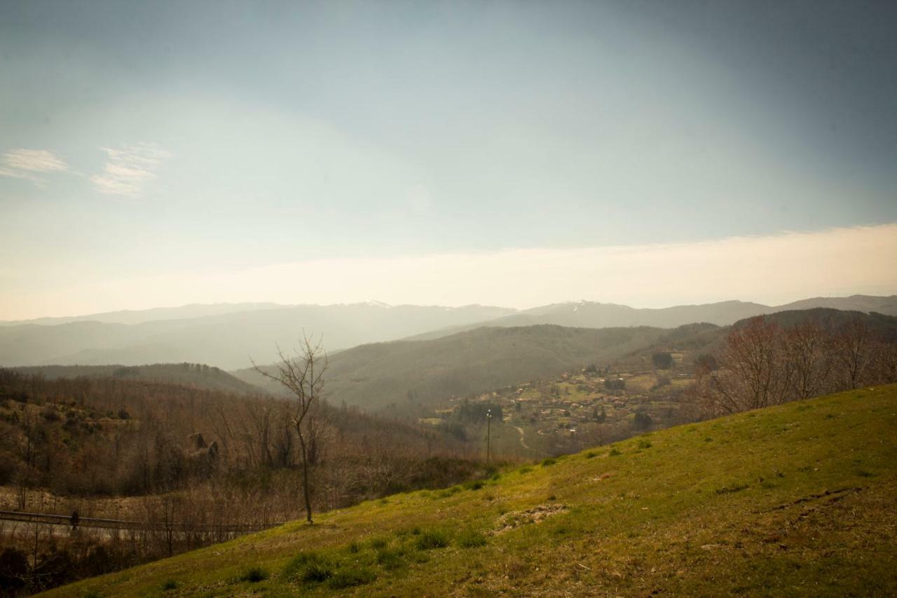 B&B Vista Casentino Pratovecchio Εξωτερικό φωτογραφία