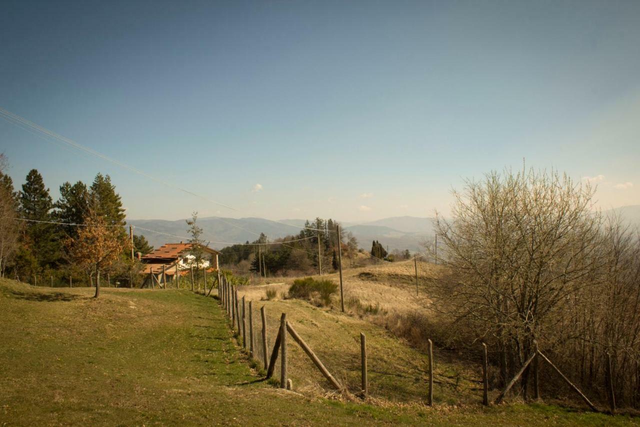 B&B Vista Casentino Pratovecchio Εξωτερικό φωτογραφία