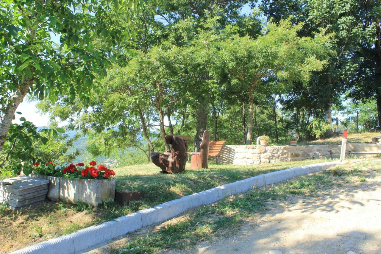 B&B Vista Casentino Pratovecchio Εξωτερικό φωτογραφία
